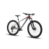 Polygon Xtrada 5 29″ (2024)