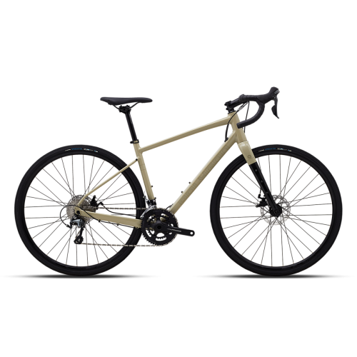 Polygon Path X4 (2024)