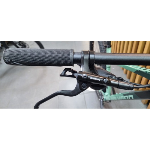 Polygon Xtrada 6 29″ (2024)