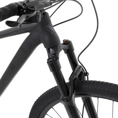 Welt Ranger 1.0 29 (2024)