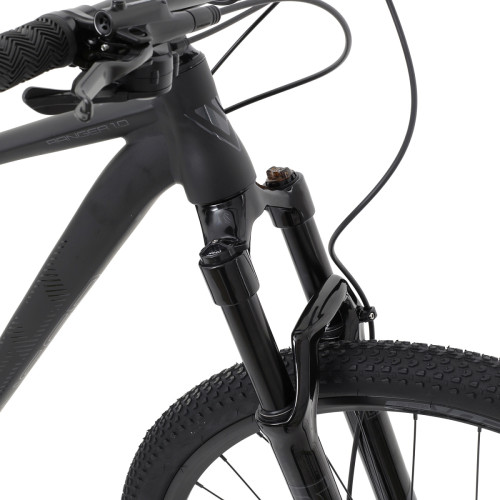 Welt Ranger 1.0 29 (2024)