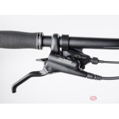 Author Spirit 29 (2023)