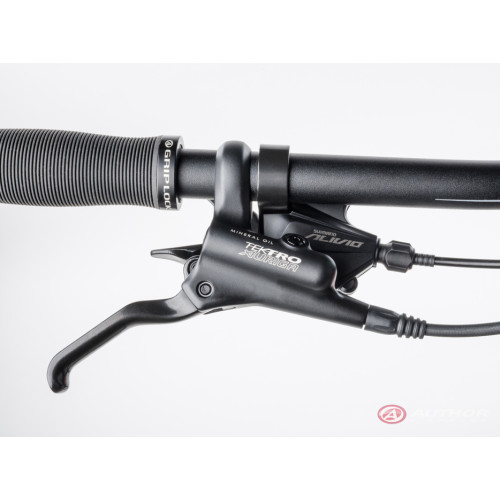 Author Spirit 29 (2023)