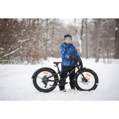 Велосипед SHULZ Bubble 20 Race Plus