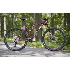 Велосипед Superior XP 909 (2024)