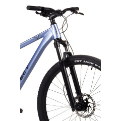 Aspect Cobalt 29 (2024)