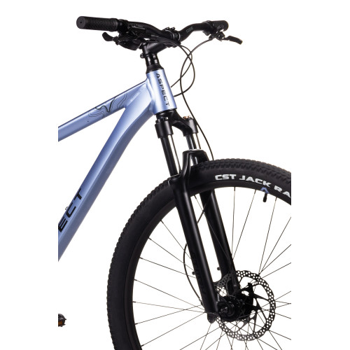 Aspect Cobalt 29 (2024)