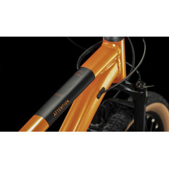 Cube Attention 29 (2023)