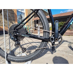 Polygon Syncline C5 29″ (2024)