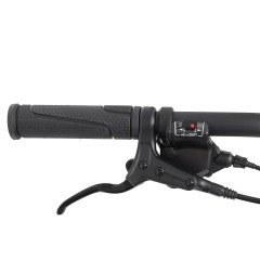 Велосипед Welt Ridge 1.0 HD 29 (2024)