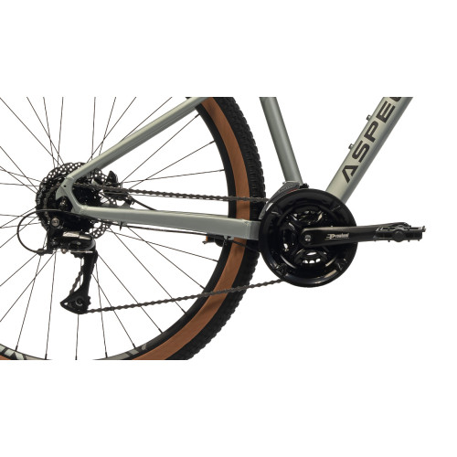 Aspect Legend 29 (2024)