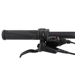 Welt Ridge 2.0 HD 29 (2023)