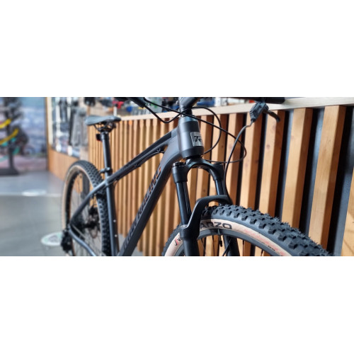 Titan Racing Rogue Dash (2023)